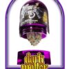 Dark matter - THC: 27%
